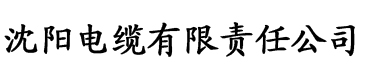 香蕉视频污污在线观看电缆厂logo